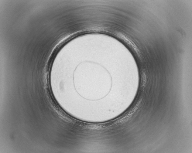 X0000115051029200912071126