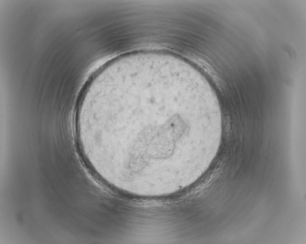 X0000115051030200912071126