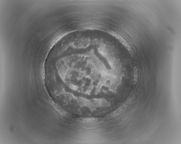 X0000115051031200912071126