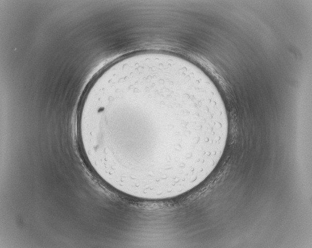 X0000115051032200912071126