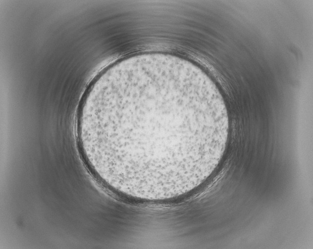 X0000115051034200912071126