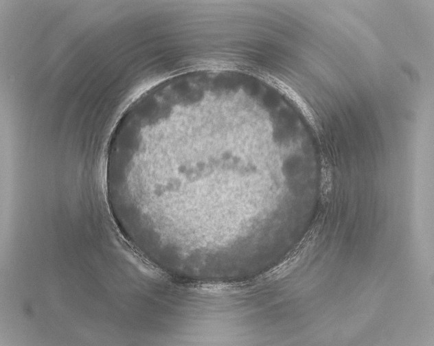 X0000115051035200912071126