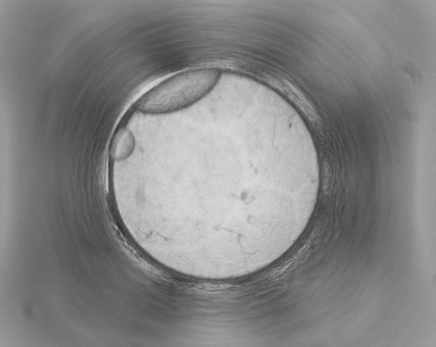 X0000115051036200912071126