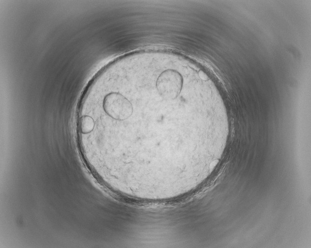 X0000115051038200912071126