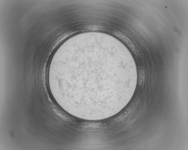 X0000115051039200912071126