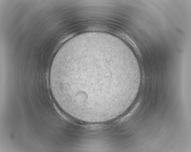 X0000115051041200912071126