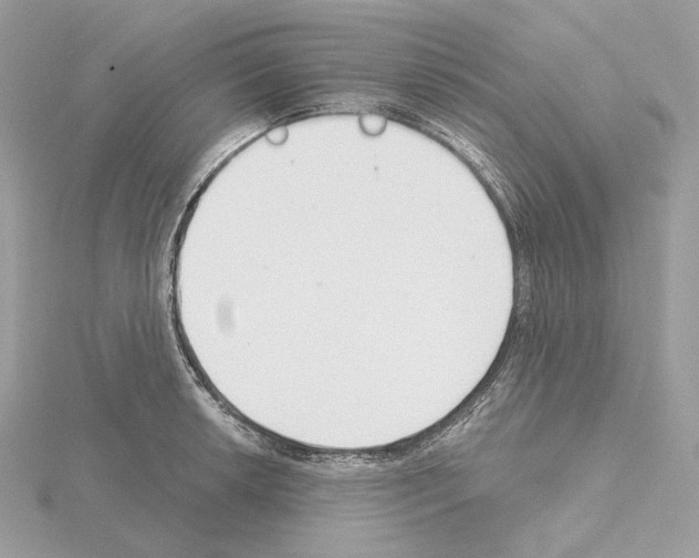 X0000115051042200912071126