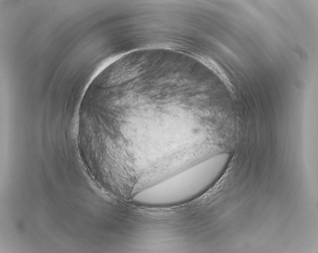 X0000115051044200912071126