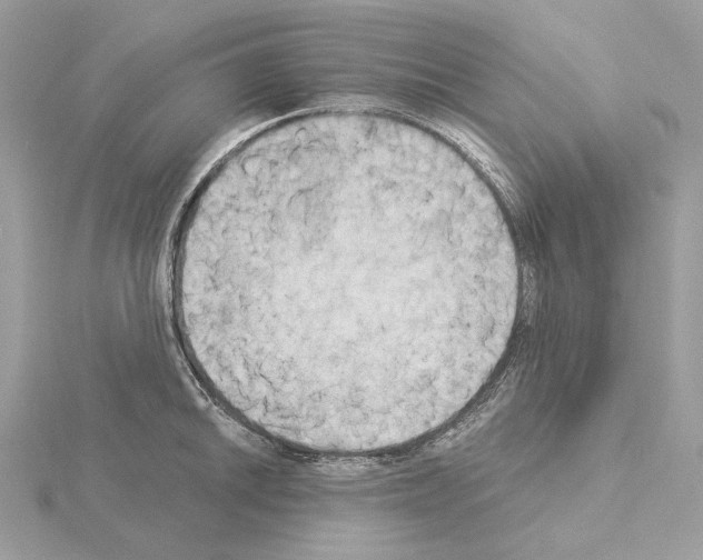 X0000115051046200912071126