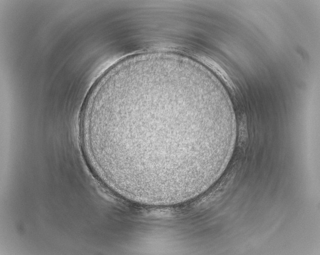 X0000115051047200912071126