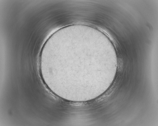 X0000115051048200912071126