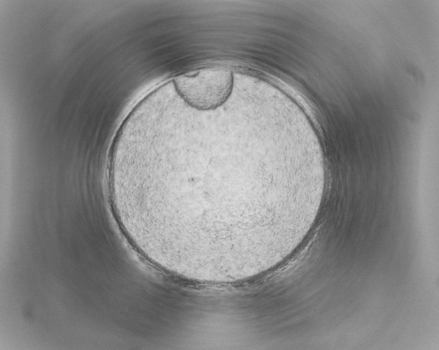 X0000115051050200912071126