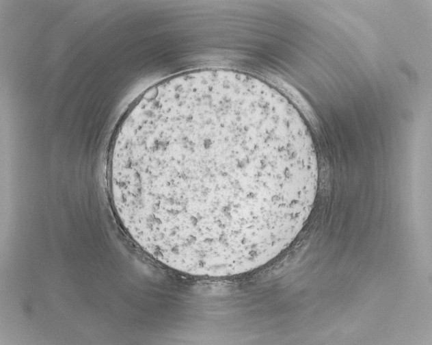 X0000115051051200912071126