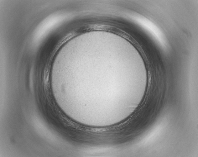 X0000115051052200912071126