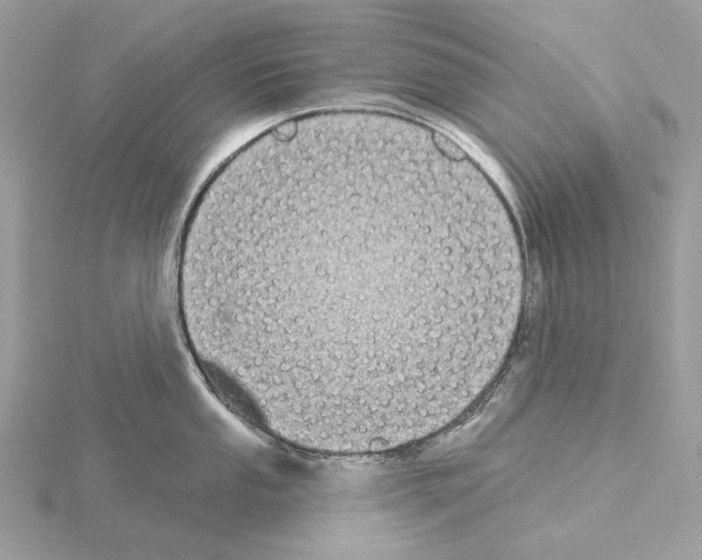 X0000115051053200912071126