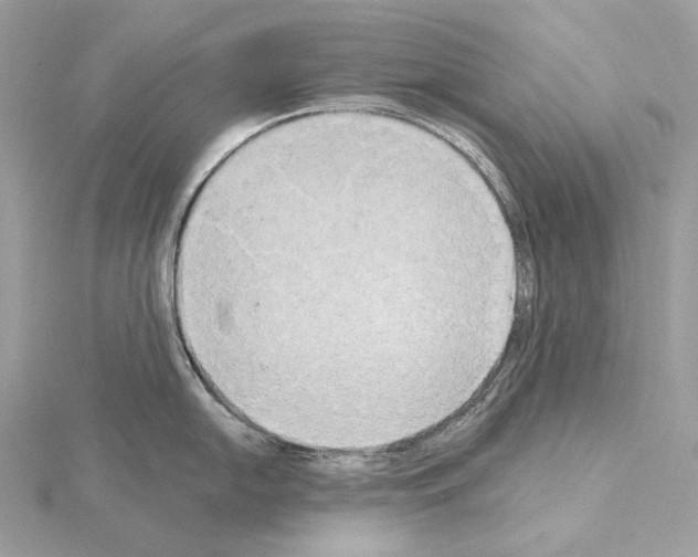 X0000115051054200912071126