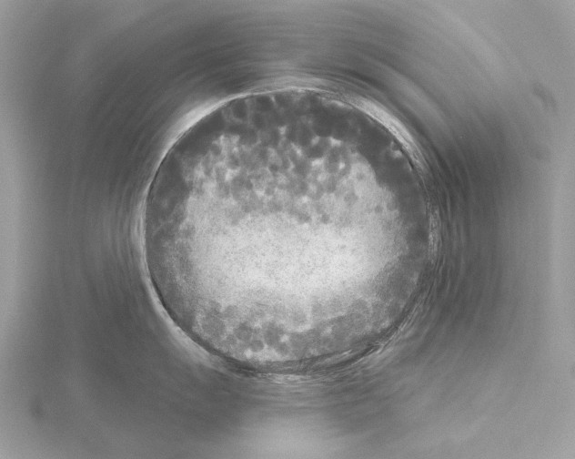 X0000115051055200912071126