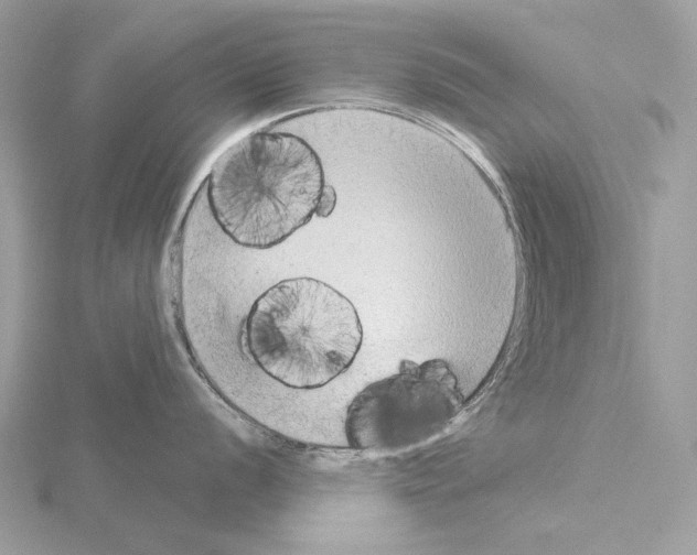 X0000115051056200912071126