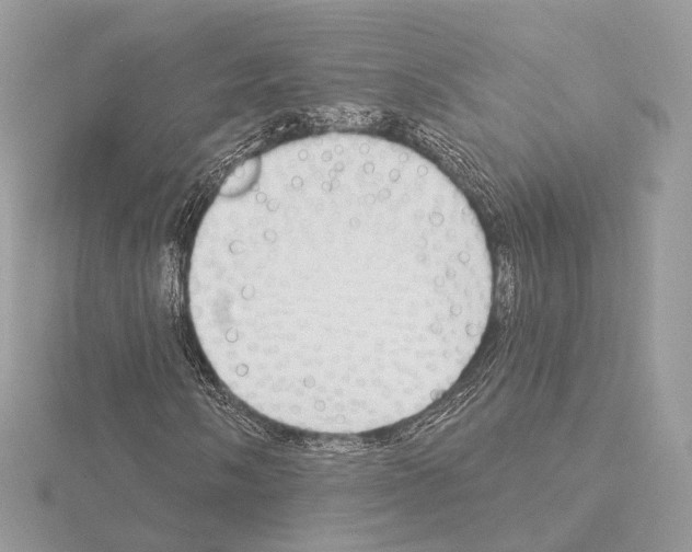 X0000115051058200912071125