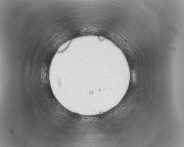 X0000115051059200912071125