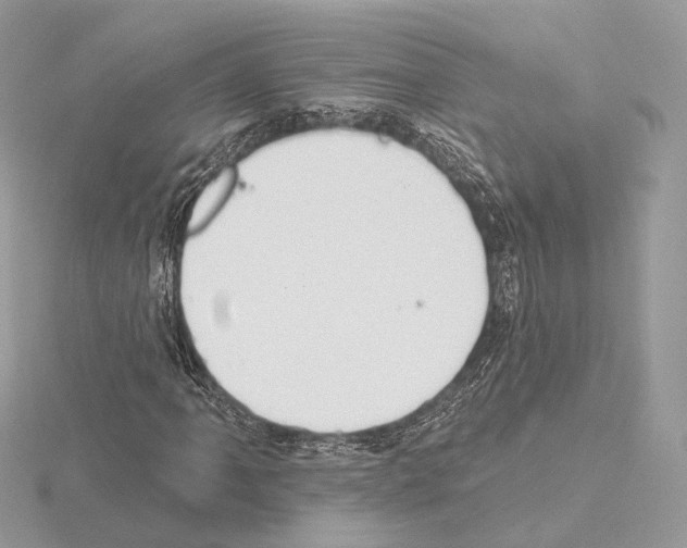 X0000115051061200912071125