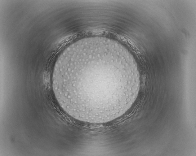 X0000115051062200912071125