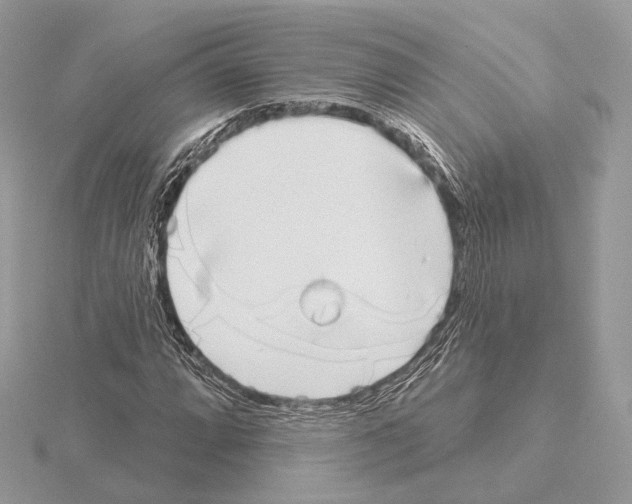 X0000115051064200912071125