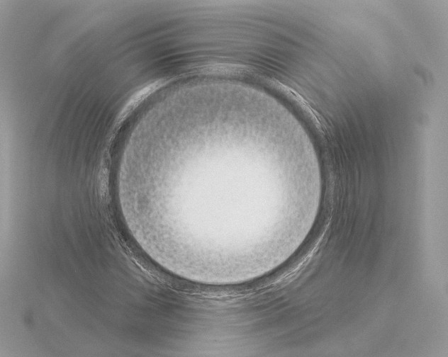 X0000115051066200912071125