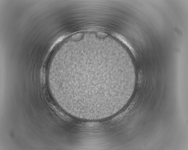 X0000115051067200912071125