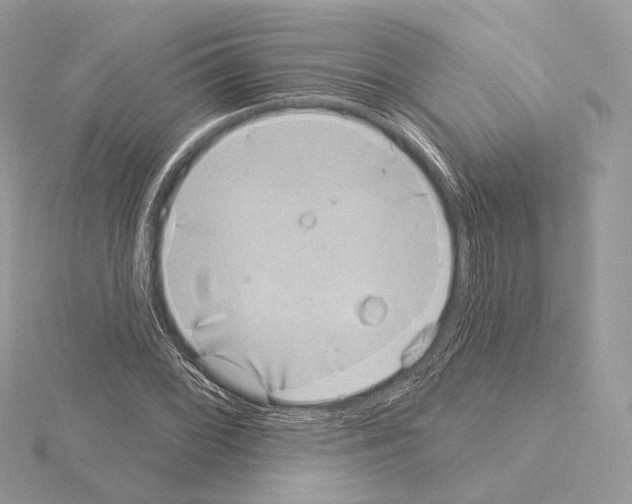 X0000115051068200912071125