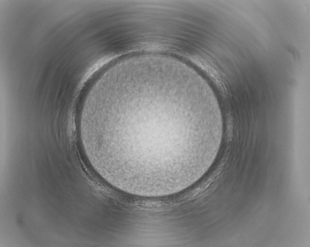 X0000115051070200912071125