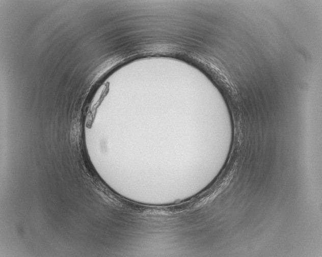 X0000115051073200912071125