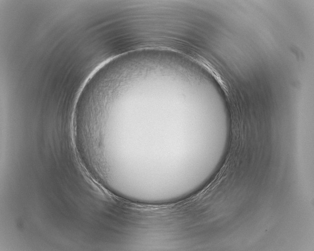 X0000115051076200912071125