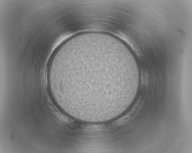 X0000115051078200912071125