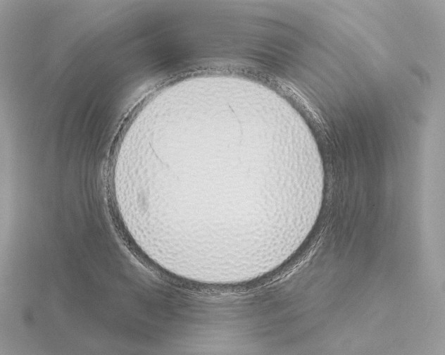 X0000115051079200912071125