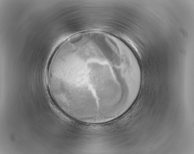 X0000115051080200912071125