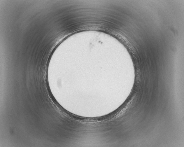 X0000115051081200912071125