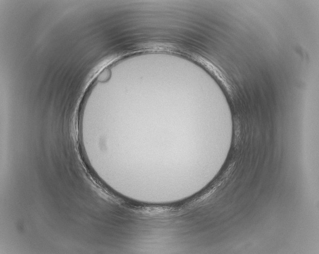 X0000115051082200912071125