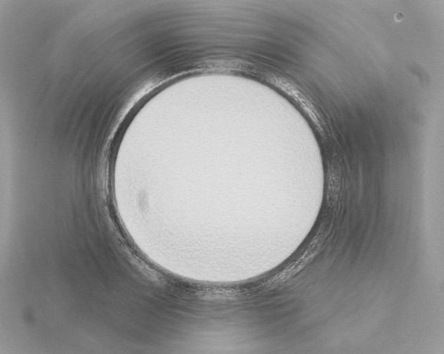 X0000115051083200912071125