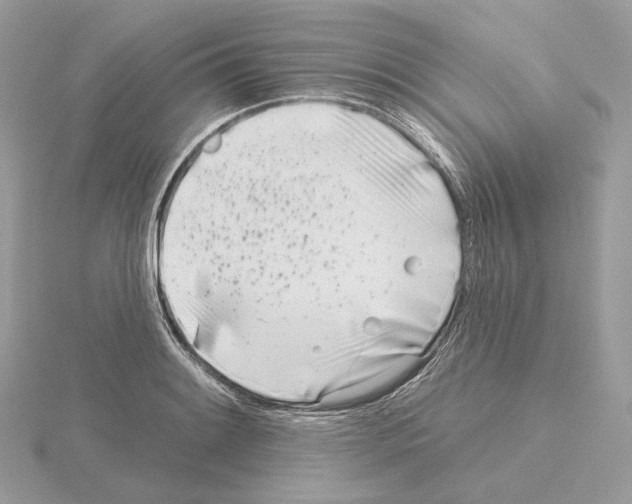 X0000115051084200912071125