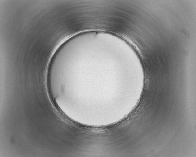 X0000115051085200912071125