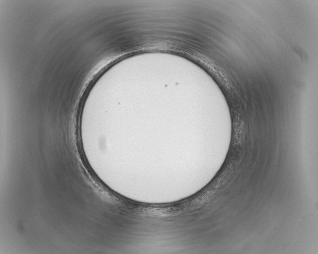 X0000115051086200912071125