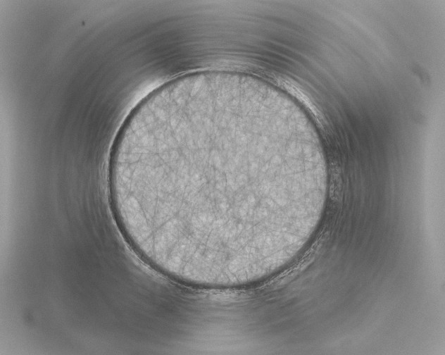 X0000115051087200912071125