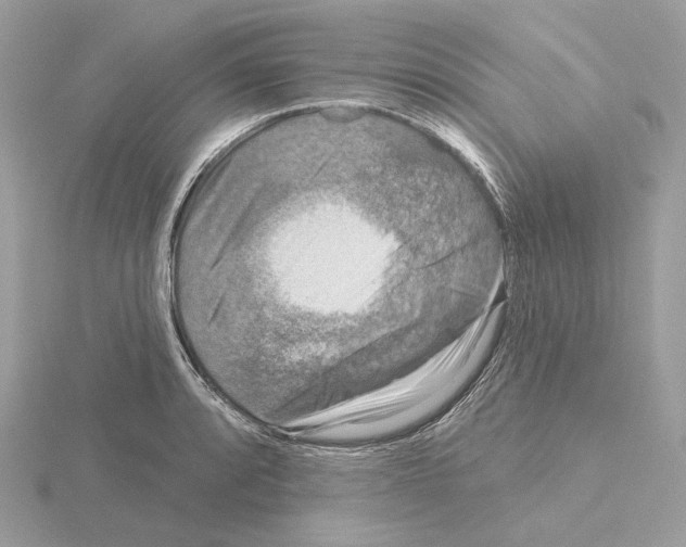 X0000115051088200912071125