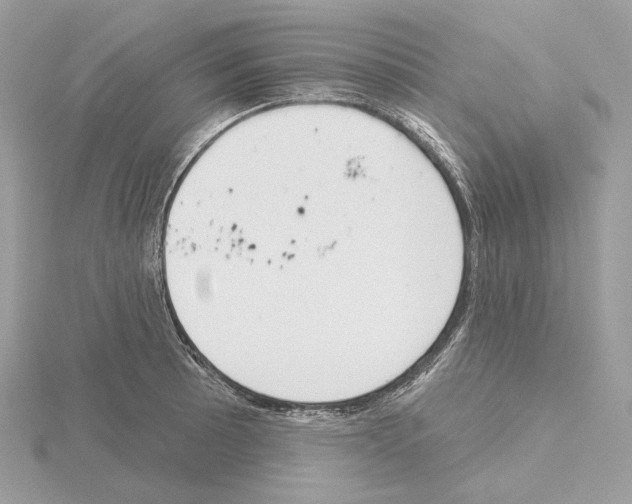 X0000115051089200912071125