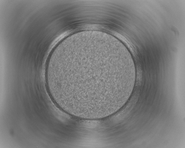 X0000115051090200912071125