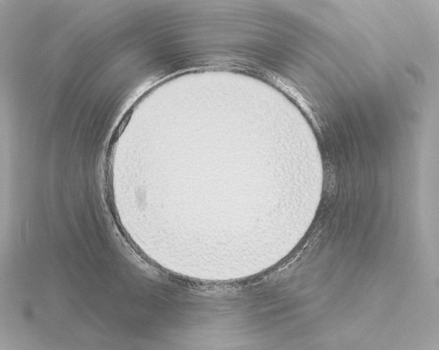 X0000115051091200912071125