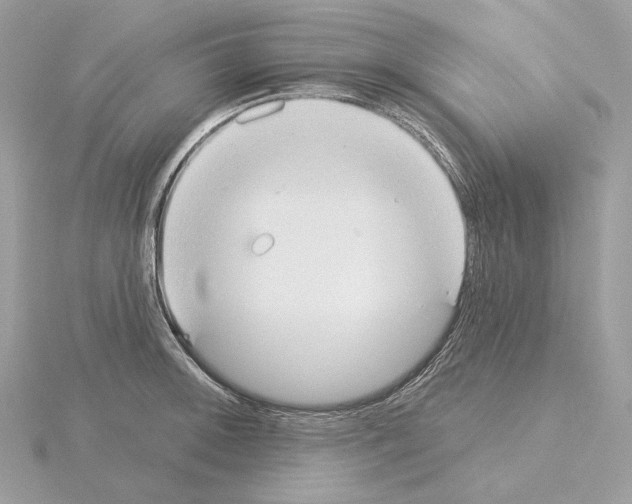 X0000115051092200912071125