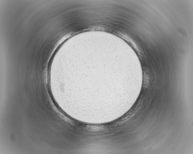 X0000115051095200912071125