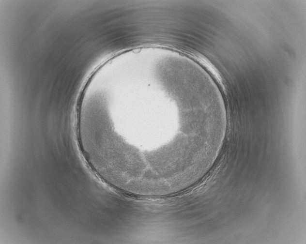 X0000115051096200912071125